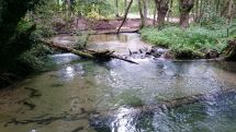 Wild-romantische Abendwanderung an der Lippe am Donnerstag, 28. Juni